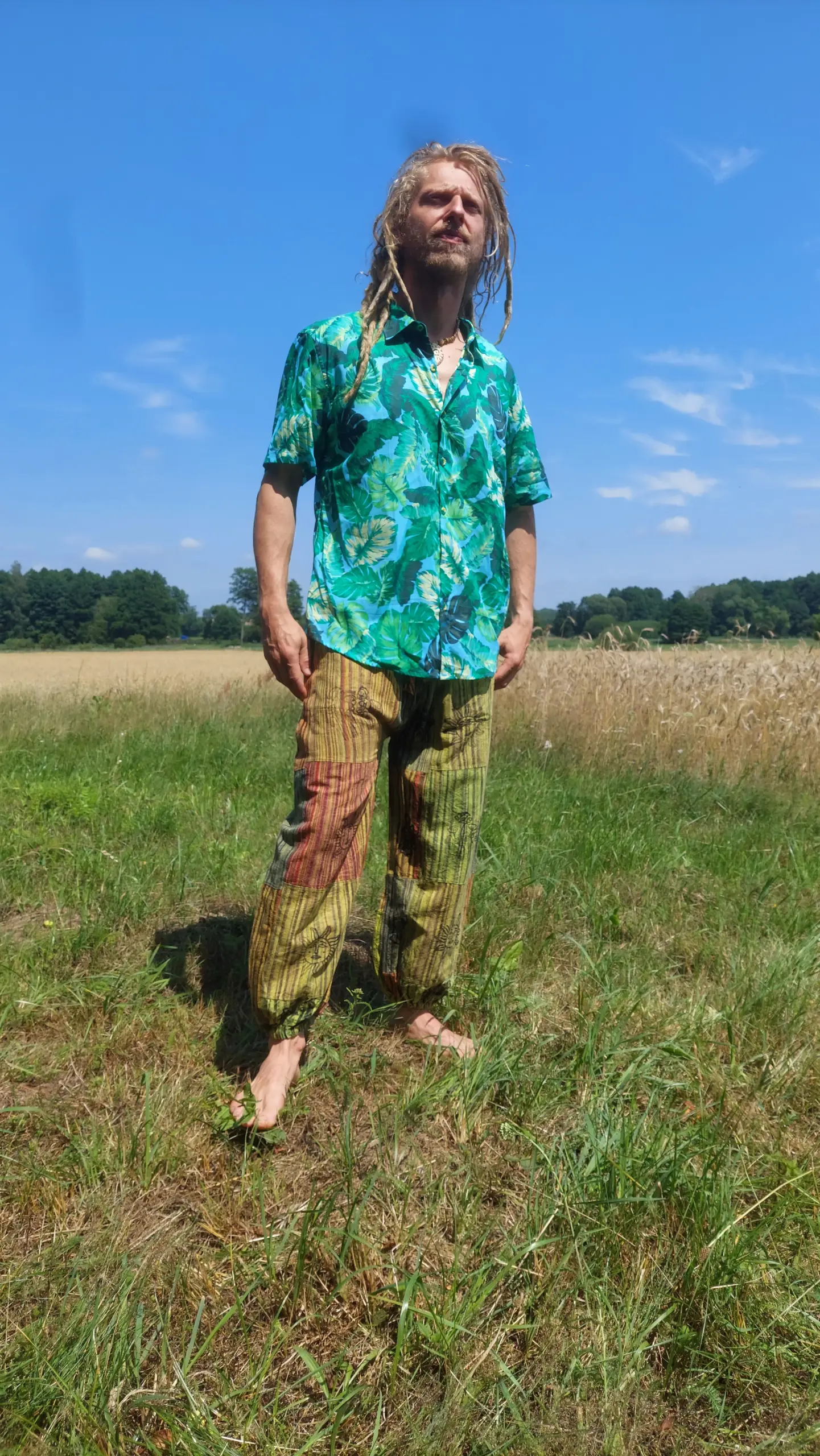 Prostaki zielone — Natural Shaman